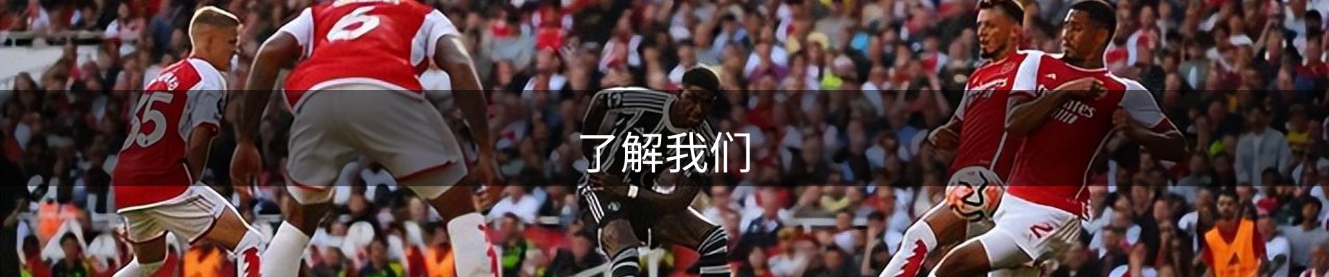 了解我们